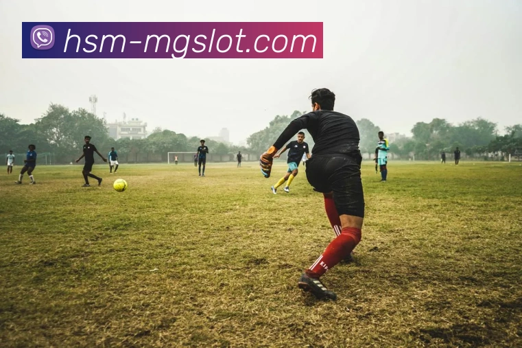 MG电子游戏官网平台生态图